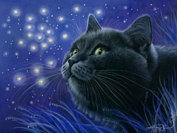 Кошки от художницы Ирины Гармашовой.