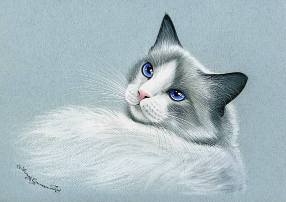 Кошки от художницы Ирины Гармашовой.