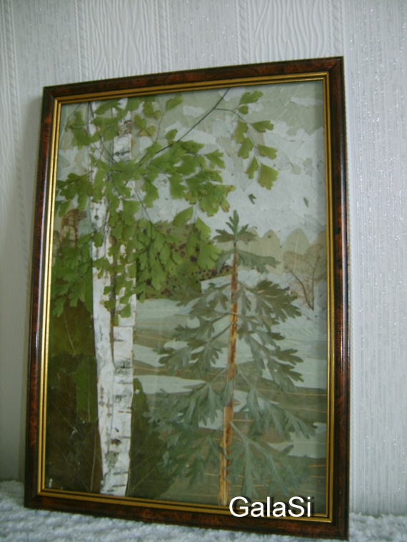 Плоскостная флористика, первые шаги