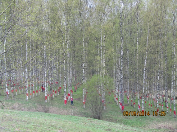 9 мая, Дорога жизни, Осиновец