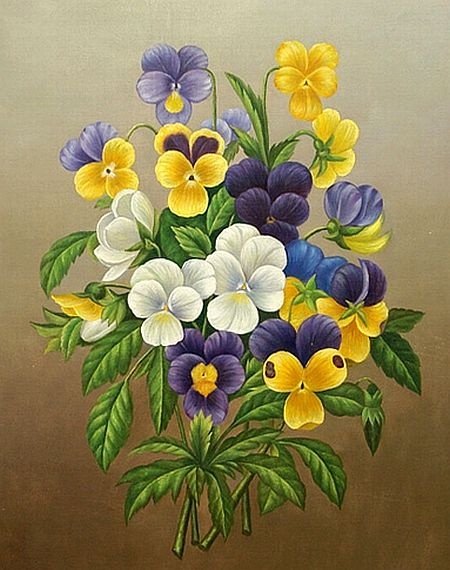 Анютины глазки.