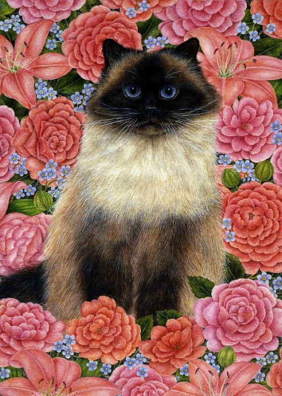 Кошки РАЗ