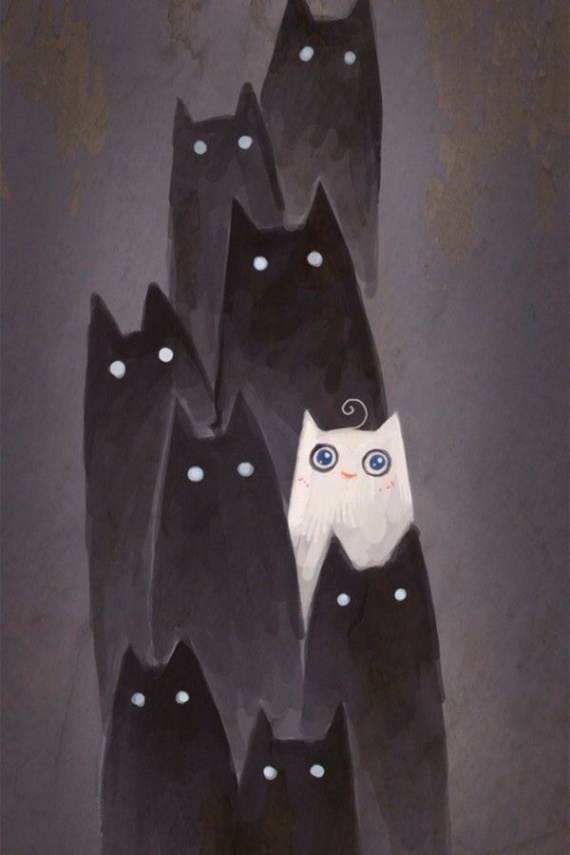 Кошки РАЗ