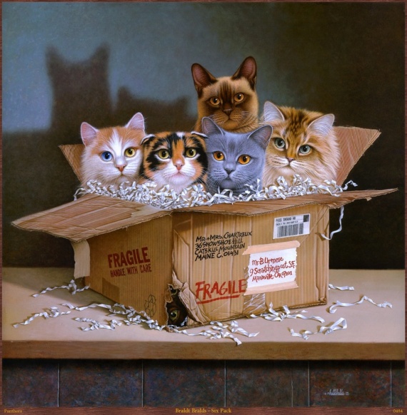 Кошки РАЗ