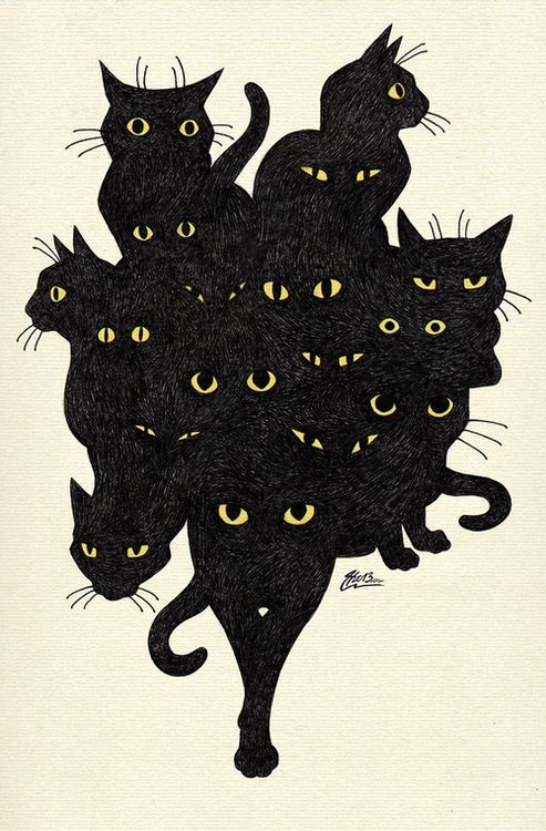 Кошки ДВА