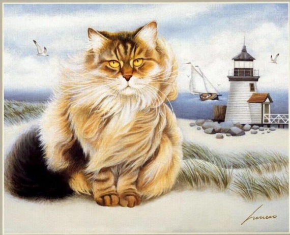 Кошки ДВА