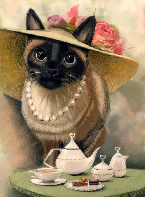 Кошки ДВА