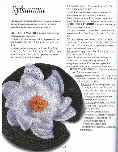 Ещё цветы