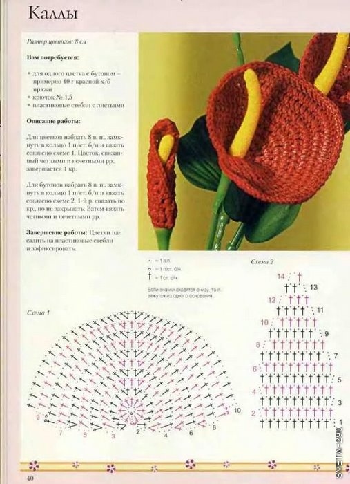 Ещё цветы