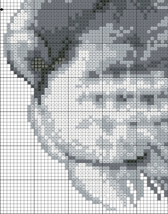 Кот