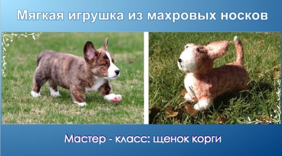 Мягкие игрушки своими руками - щенок корги. МК