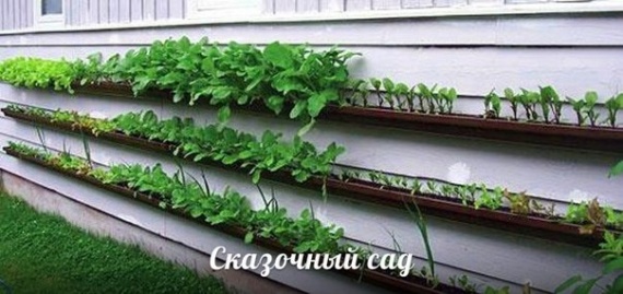 нашла еще идею