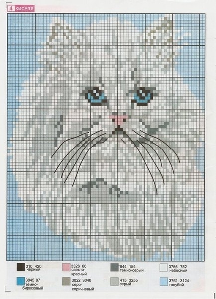 котята и тигры